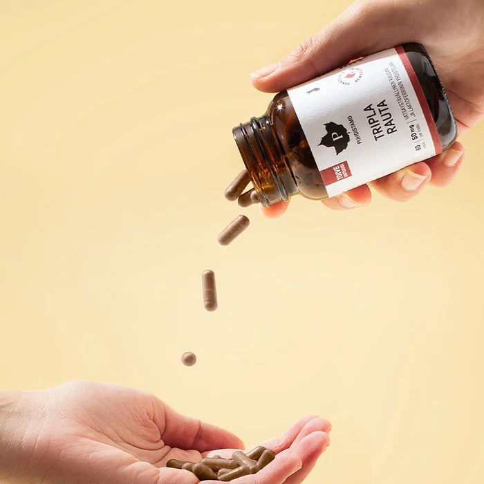 Triple Iron je velmi silný a účinný doplněk stravy obsahující dvě vysoce kvalitní, organické formy železa.