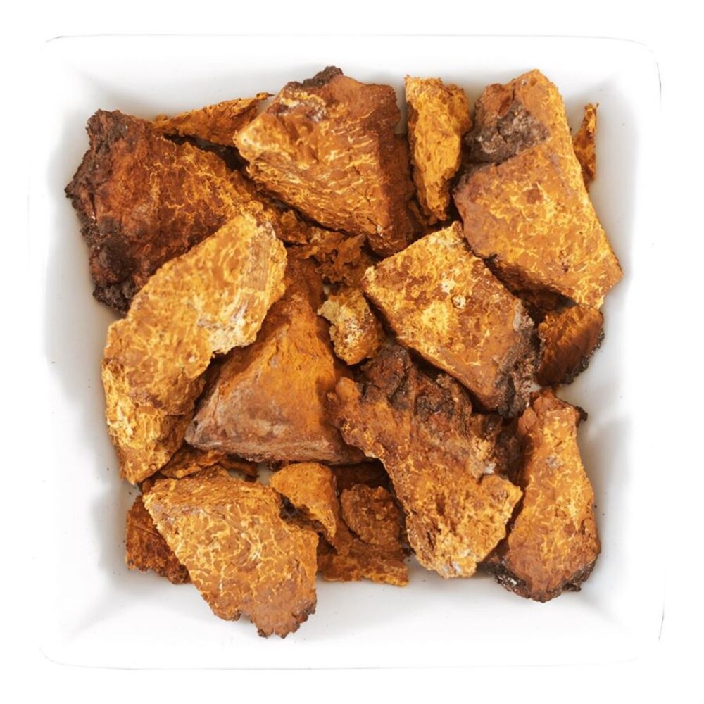 Chaga Extract 50 ml (Extrakt z houby Chaga)