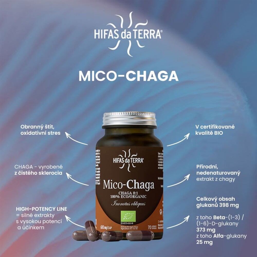 Mico-Chaga Bio 70 kapslí