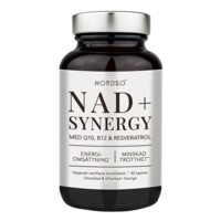 NAD+ Synergy 40 kapslí 