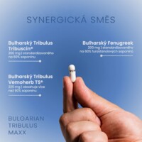 Tribulus Terrestris MAXX 60 kapslí SK