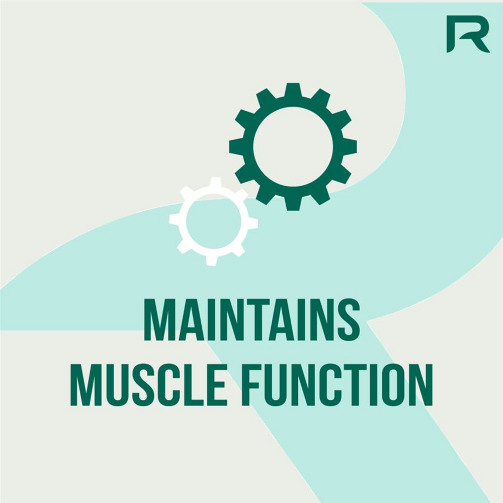 Nexgen® 60 kapslí 2 + 1 ZDARMA