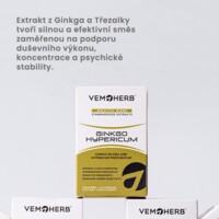 Ginkgo Hypericum 60 kapslí