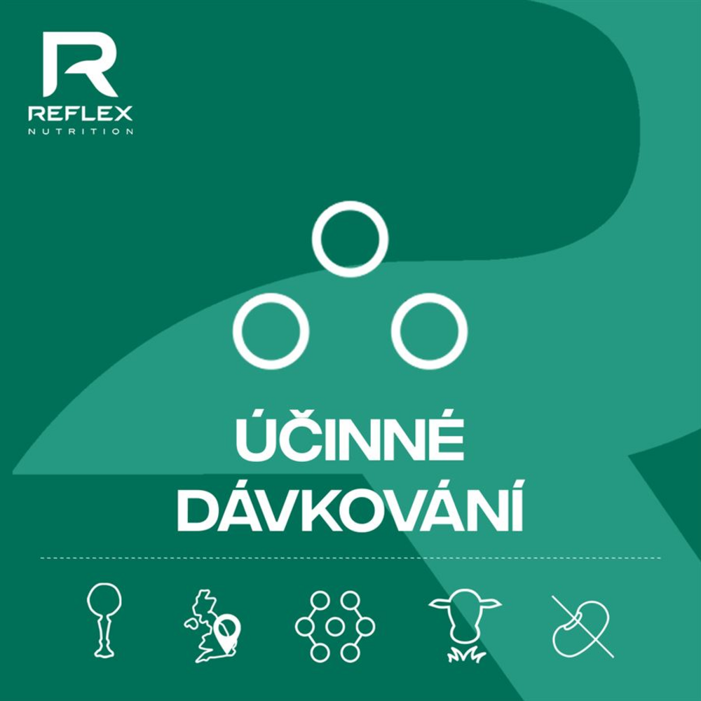 Plant Based Protein 600g 