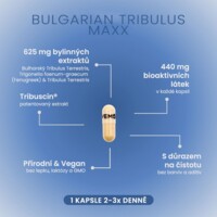 Tribulus Terrestris MAXX 60 kapslí SK