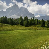 I Love BIO Protein 1,4 kg natural