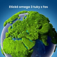 Vegan Omega 3 Algae 90 kapslí (250mg DHA and Vitamin D 400IU)