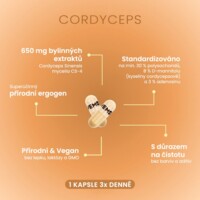 Cordyceps CS-4 60 kapslí