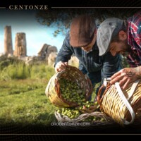 Extra Virgin Olive Oil Spray 250 ml orange