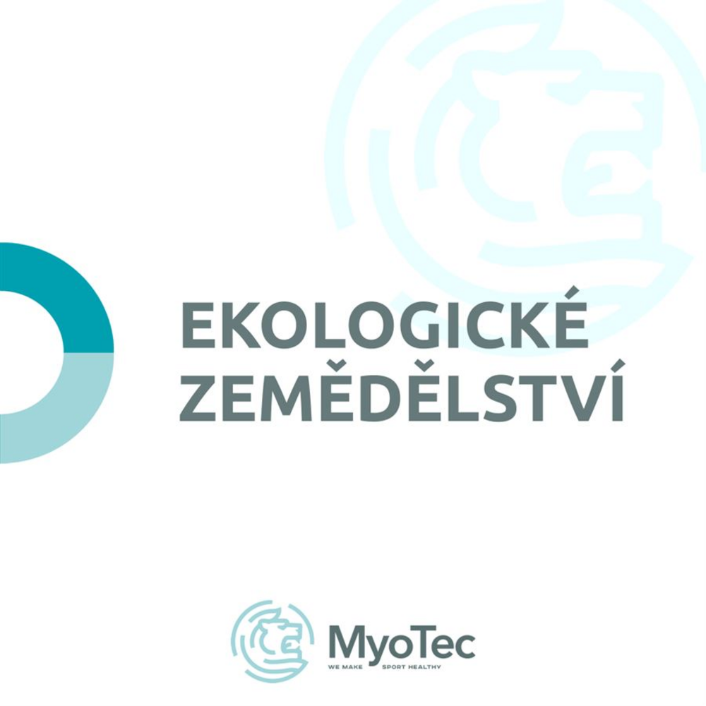 I Love BIO Protein 1,4 kg natural