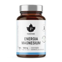 Energia Magnesium 120 kapslí SK 