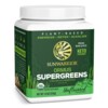 Ormus Super Greens BIO 450g natural