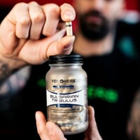 Tribulus Terrestris 90 kapslí SK