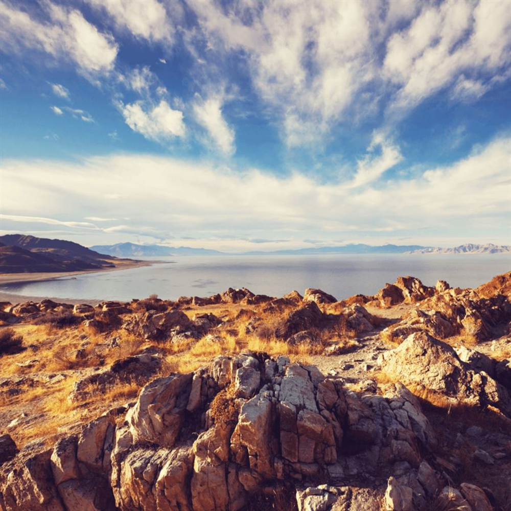 elete Electrolyte 240 ml