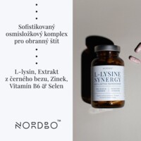 L-Lysine Synergy 90 kapslí