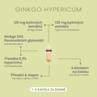 Ginkgo Hypericum 60 kapslí