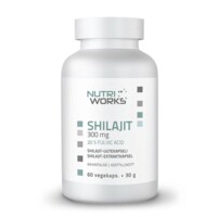 Shilajit 300mg 60 kapslí 