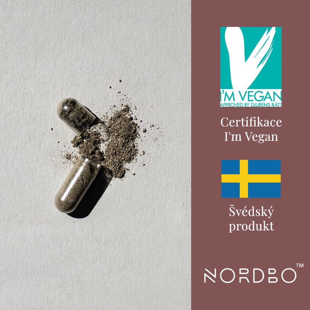 Järn and C 90 kapslí (Železo a Vitamín C)