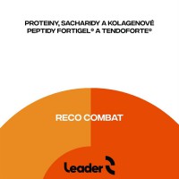 Reco Combat 2,5 kg pomeranč mandarinka (Po výkonu - bojové a kontaktní sporty)