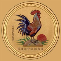 Extra Virgin Olive Oil Spray 250 ml orange