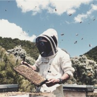 RAW Manuka Honey UMF15+ (515+ MGO) 225g