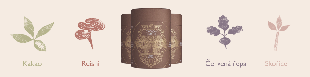 Kolagen s obsahem kakaa, adaptogenní houby reishi, červené řepy a skořice.